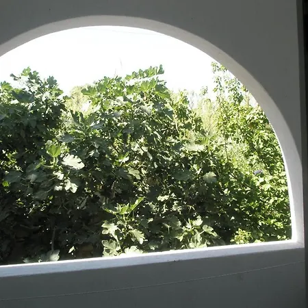Ampeli Parikia (Paros)